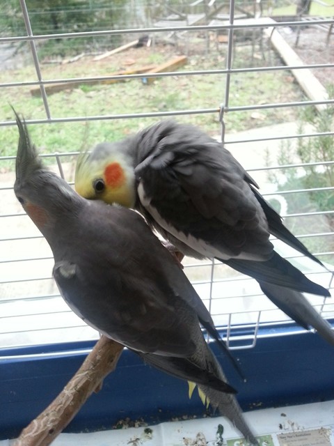 you look dirty, let me help you!