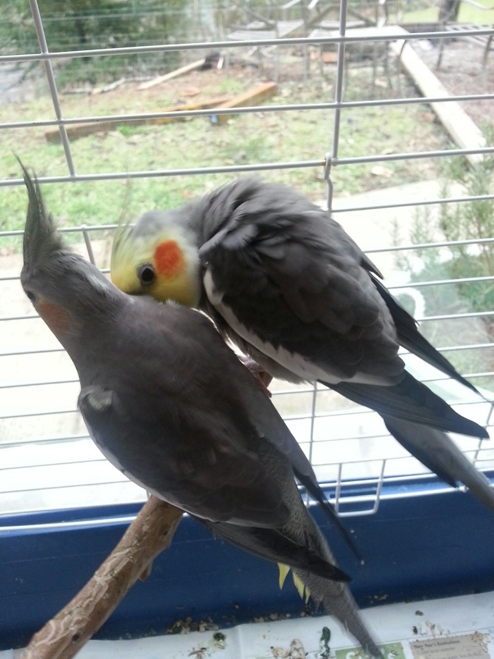 you look dirty, let me help you! 