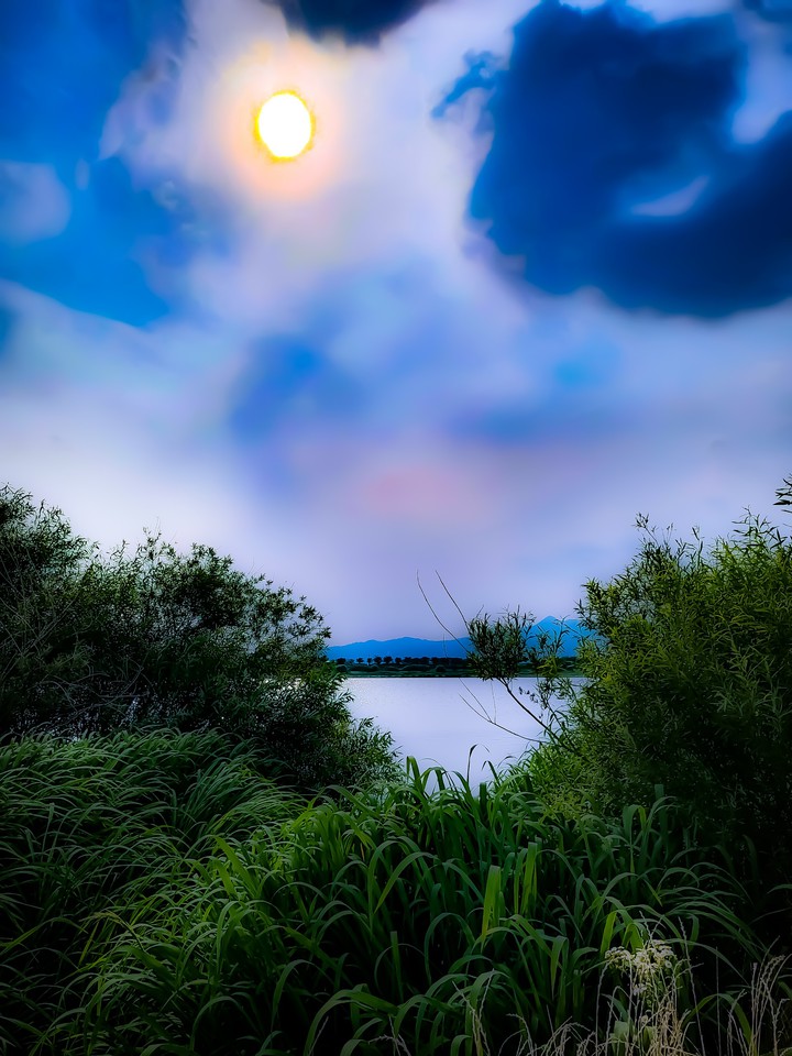 화명생태공원
