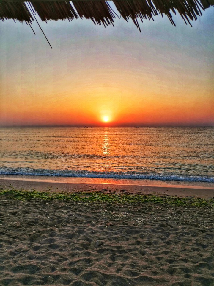 Sunrise