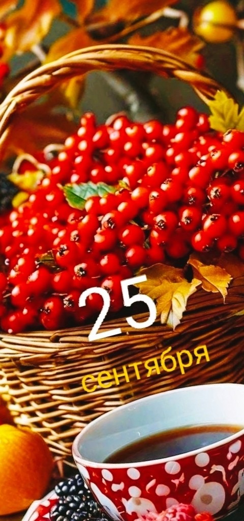 papéis de parede cranberry, Ingredient