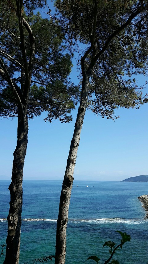 sea