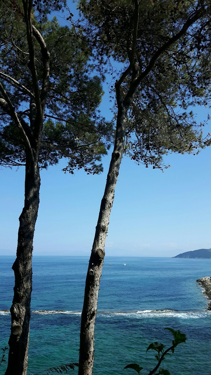 sea