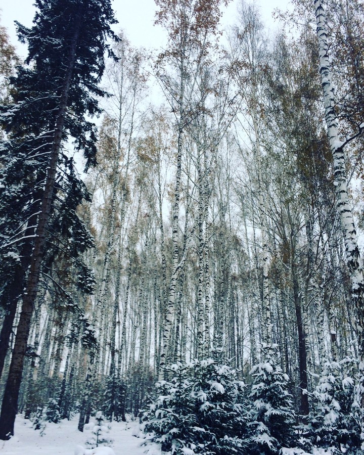 Russia, Tomsk