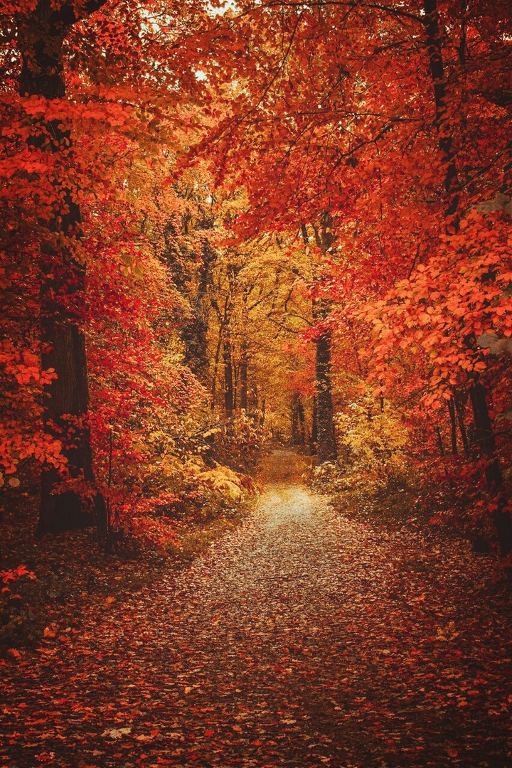 nature