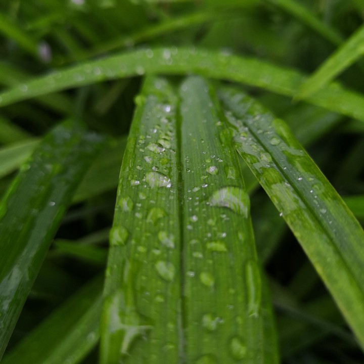 Rainy day.