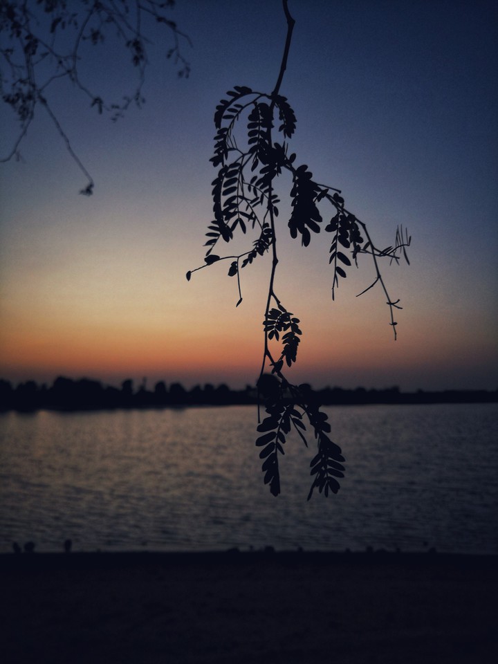 Evening Lakeside