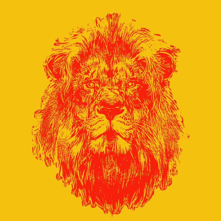 lion face