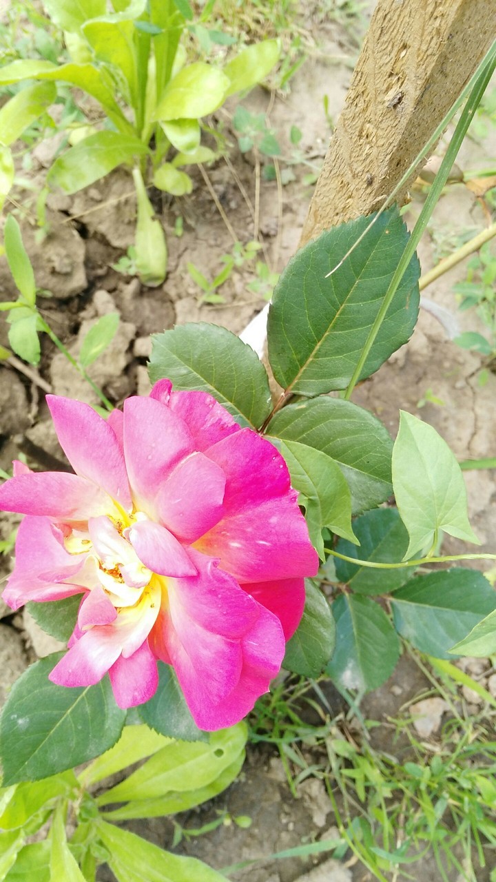 onother one