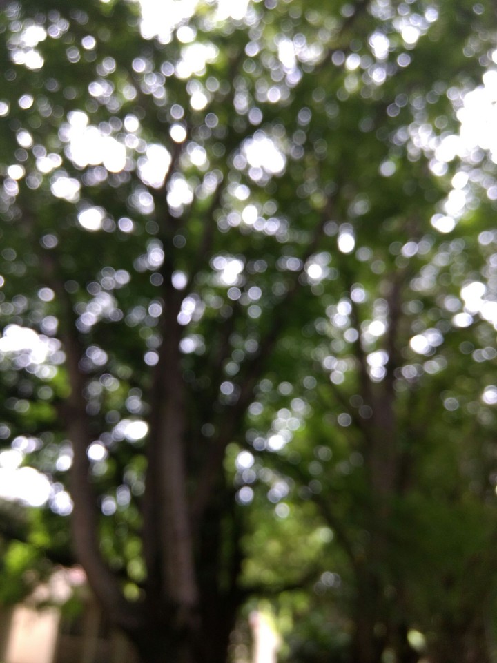 nature