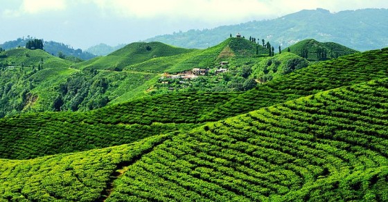 Assam