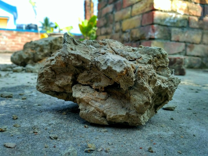 deep soil