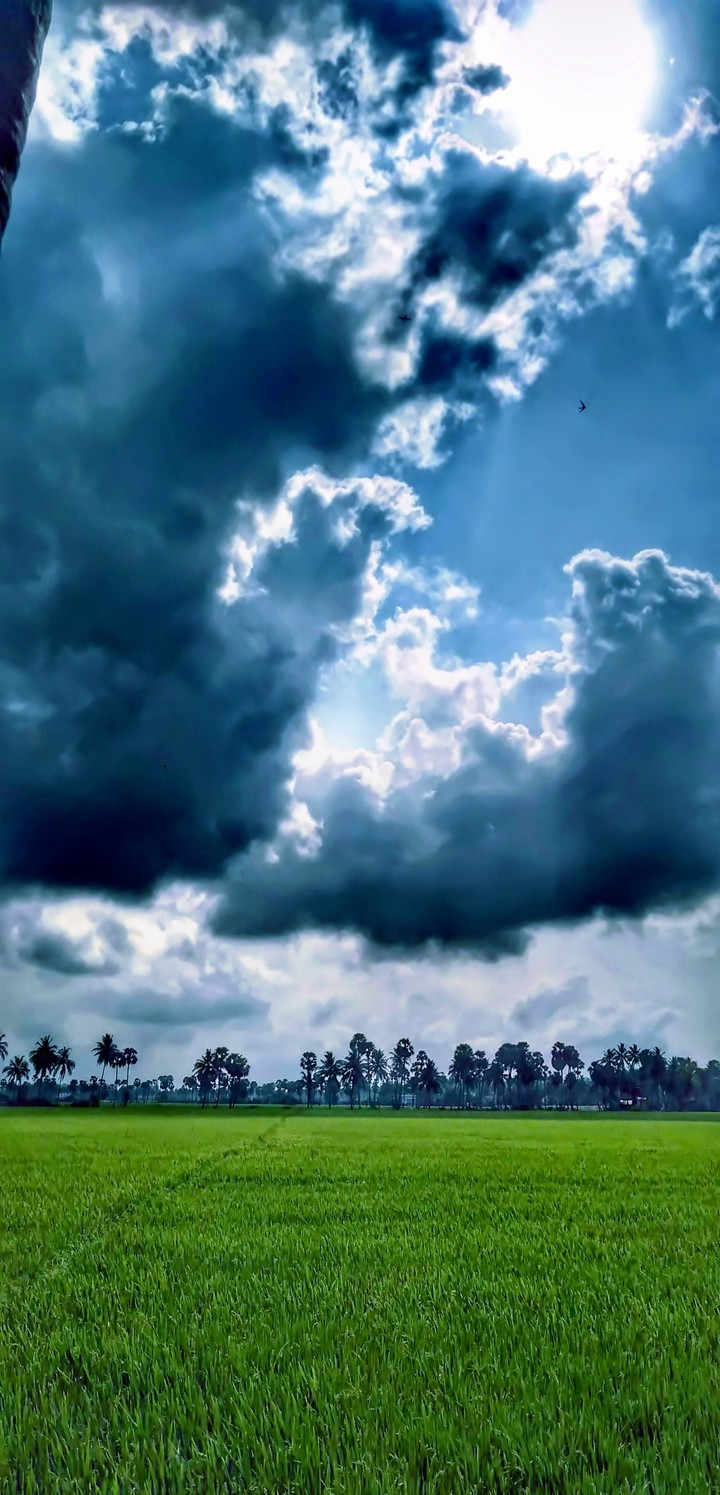 nature's luv