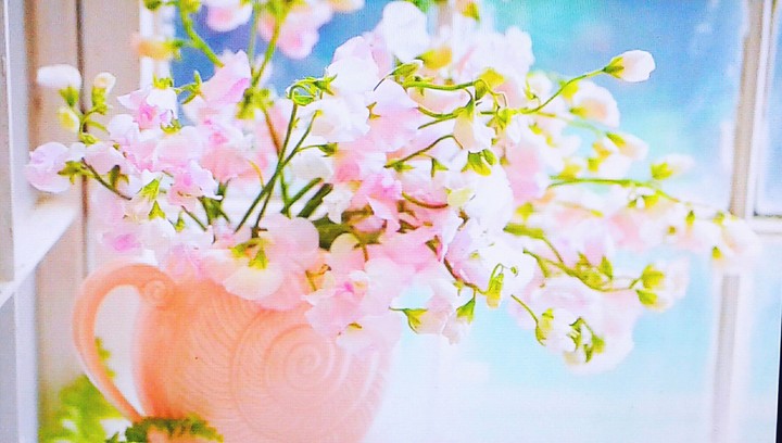 Flores blancas