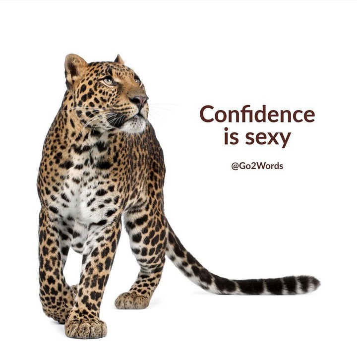 confidence is sexy