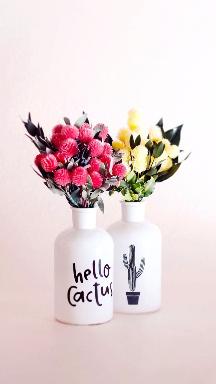Hello Cactus
