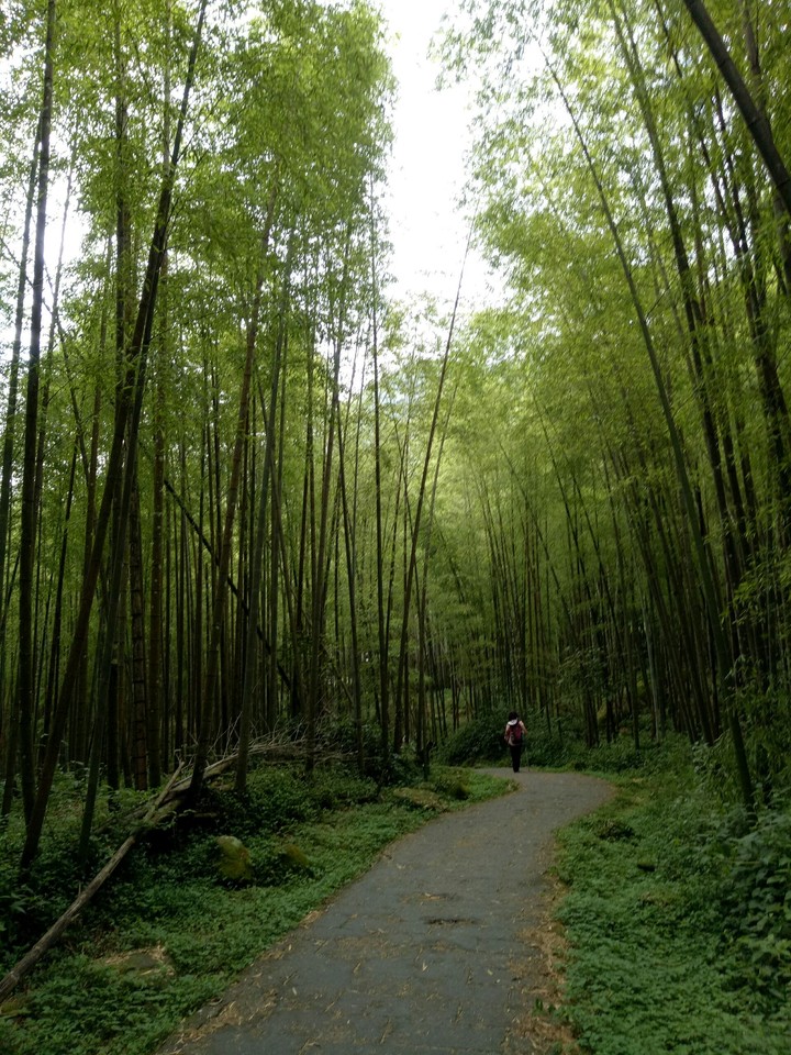遠
