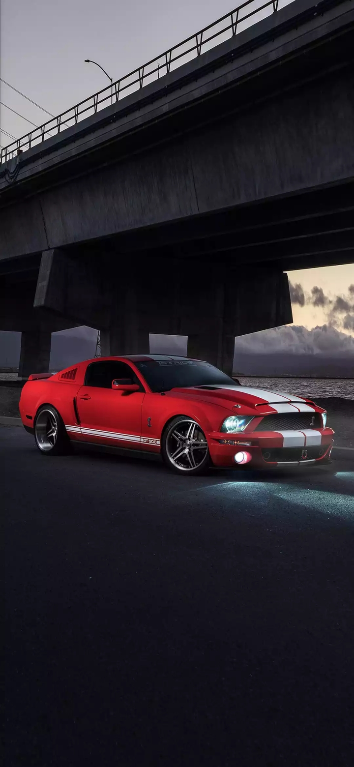 shelby mustang