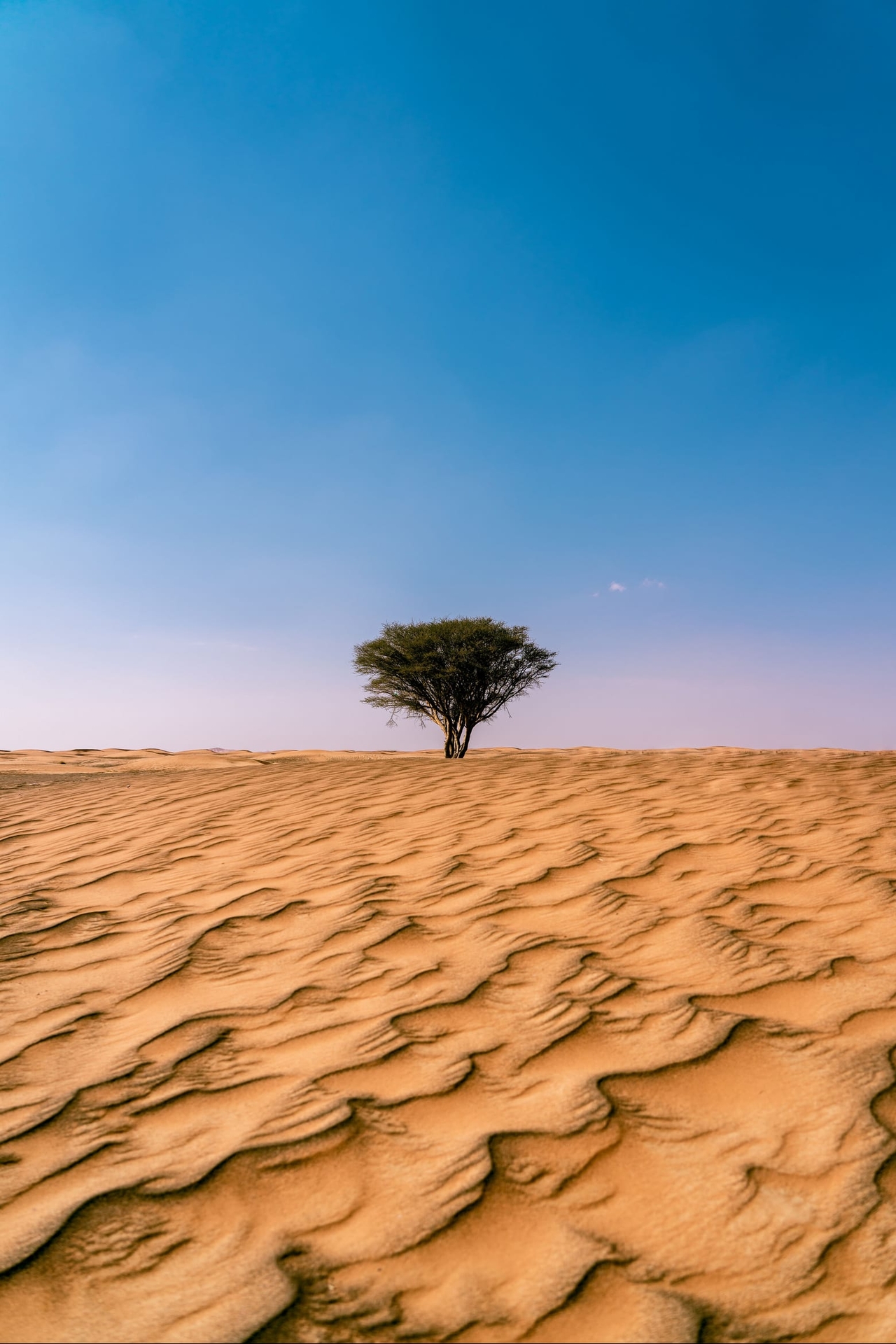Water_resources, Water, Body_of_water