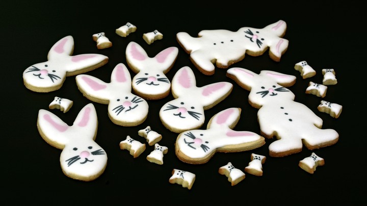 Cute bunny...