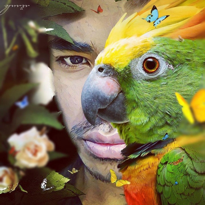 love nature