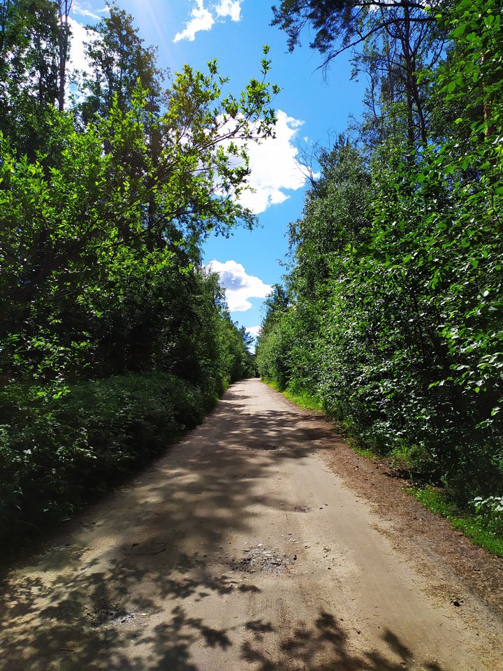 дорога за городом