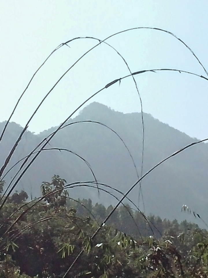 hill