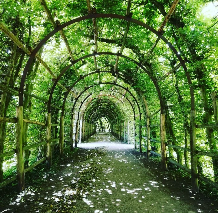 Green way