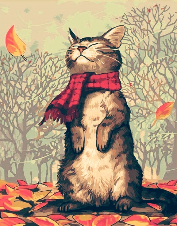 autumn cat