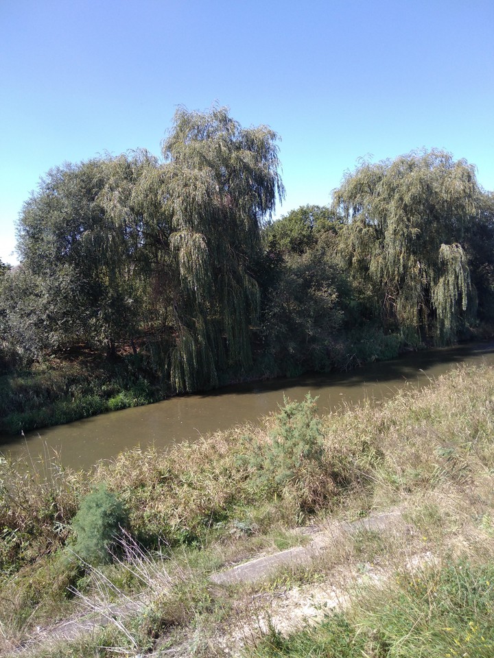 природа, река, ранняя осень