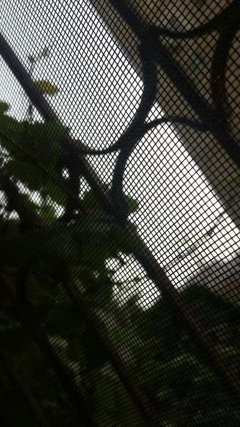 cloudy