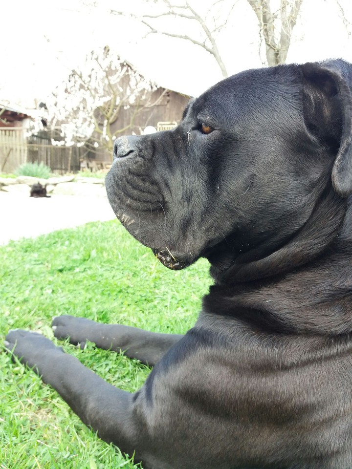 my little boy