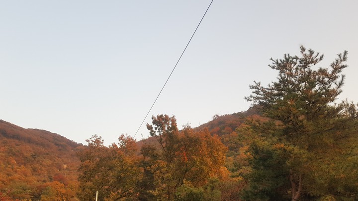 자연의 풍경