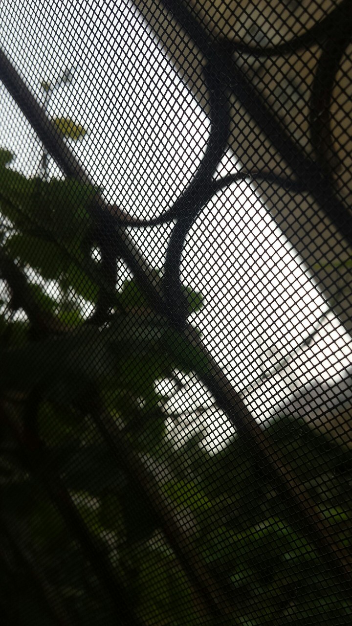 cloudy