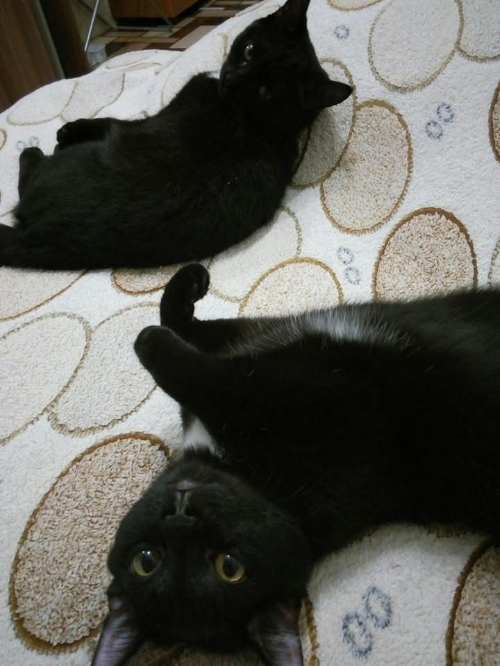 Alice & Lucy