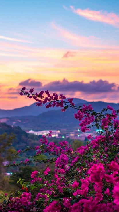 IN LOVE WITH THIS BEAUTIFUL SCENERY