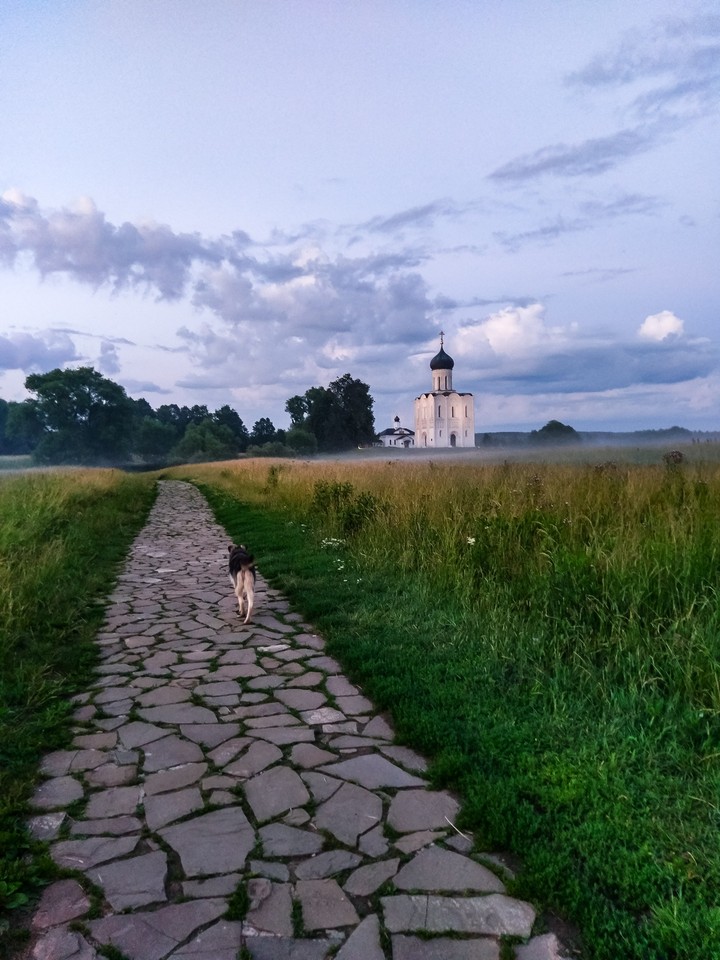Покрова на Нерли
