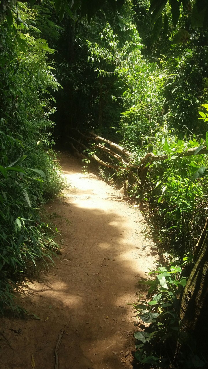 Natureza