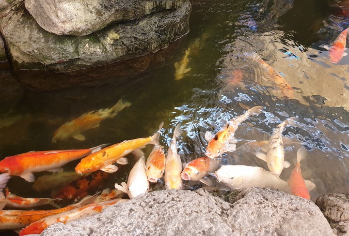 life