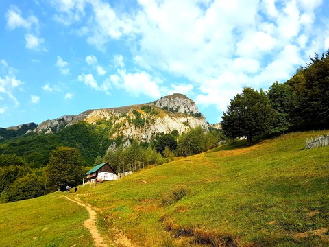 path in the Mountains
