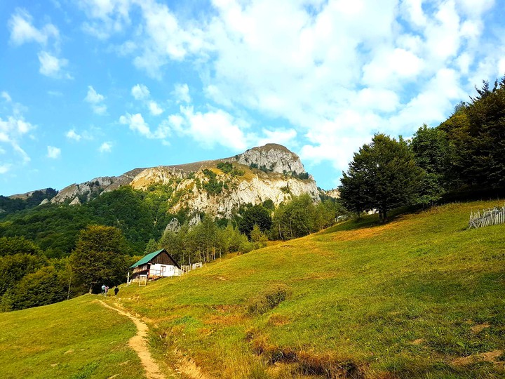 path in the Mountains