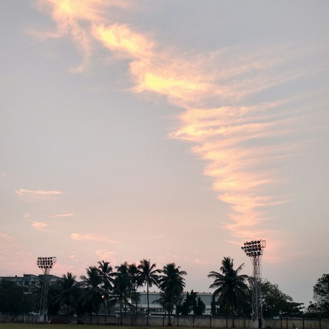 Golden sky waves!