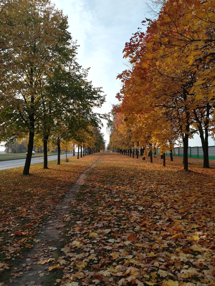 осенний Гродно