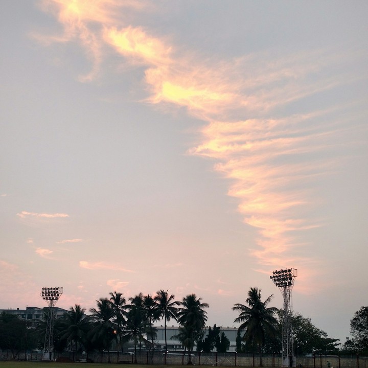 Golden sky waves!