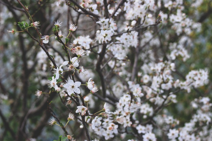 Spring again