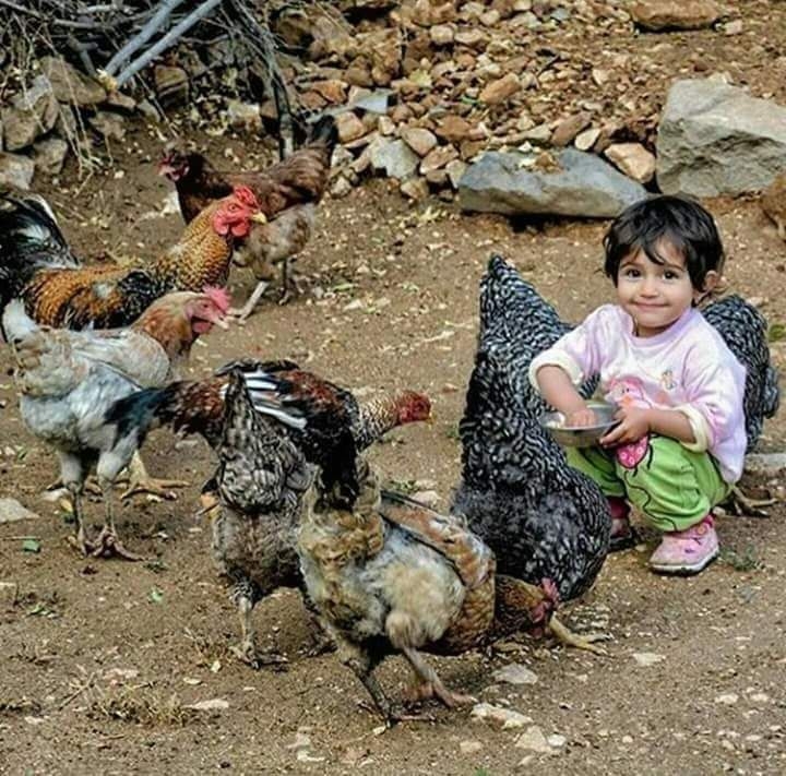 ..
