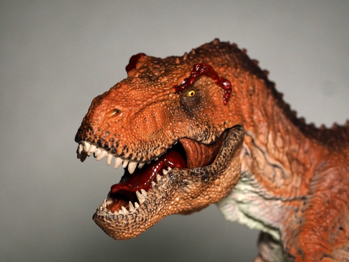 T. rex