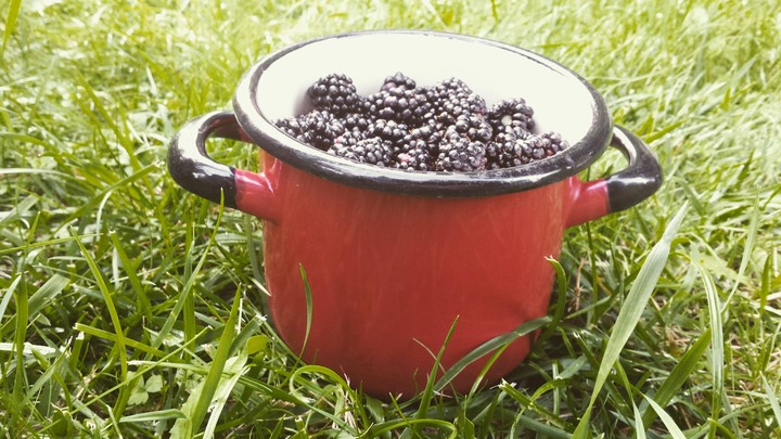 berrypot