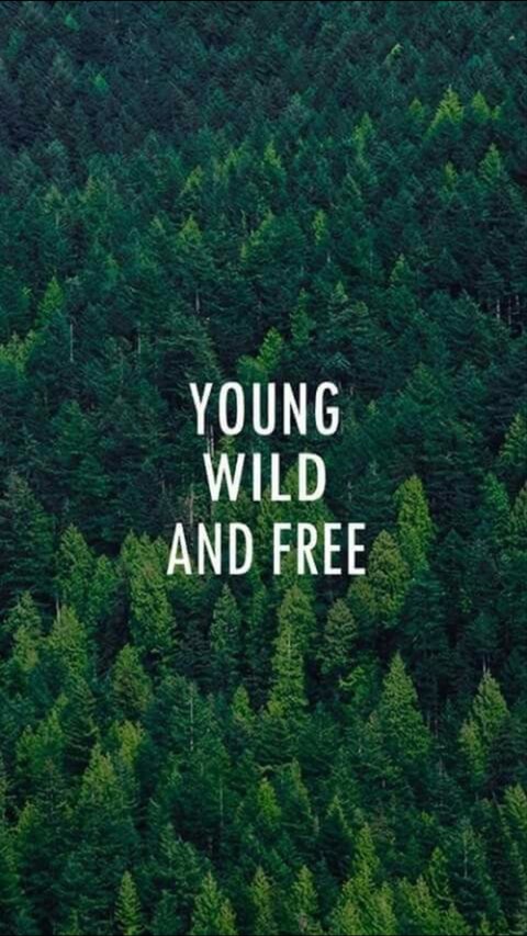 wallpaper