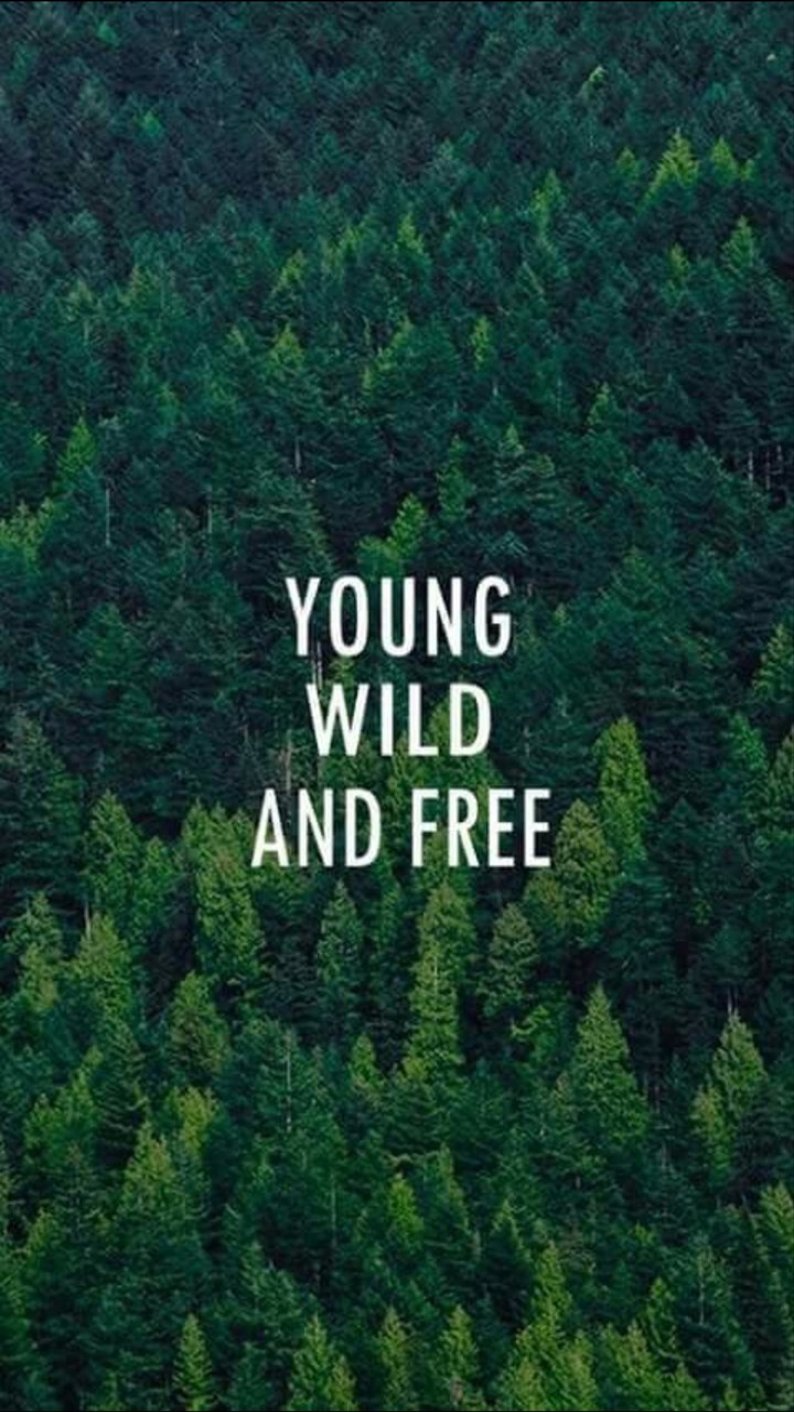 wallpaper